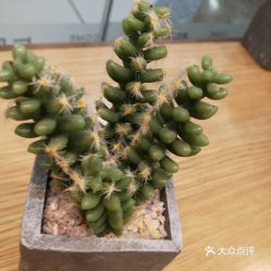 馬鞍山雨山區(qū)面包飲品團(tuán)購指南 價格、地址、營業(yè)時間及美食推薦