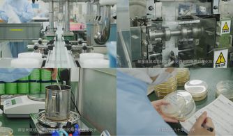 櫻花約定，匠心傳承 日本娜麗絲衛(wèi)生用品的前世今生